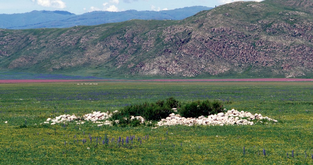 Kurgans: ancient burial mounds on the steppe