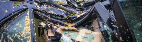 Aftermath of Sandy, Massachusetts